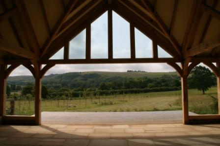 Clayton Wood, West Sussex
